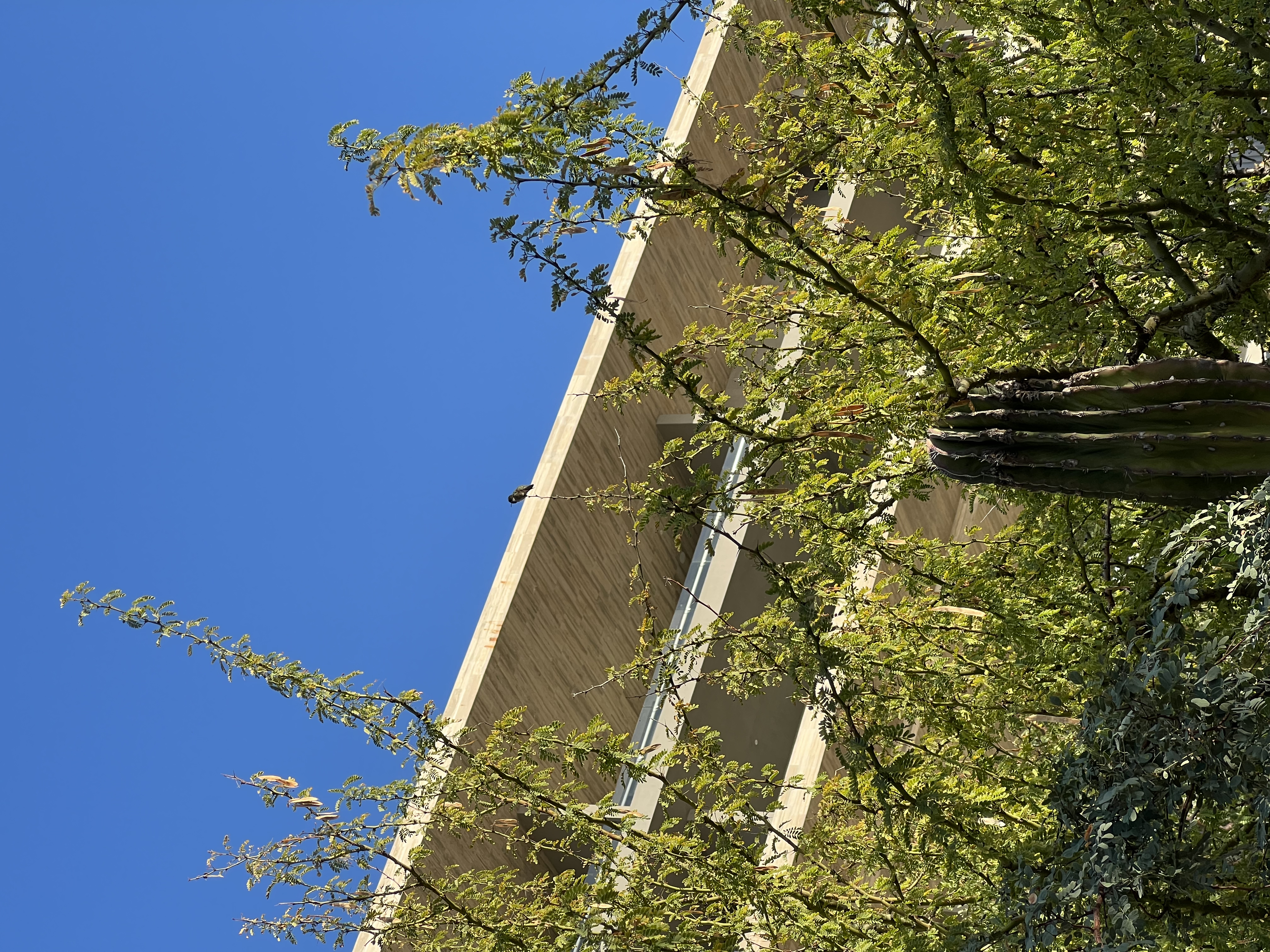 ./2024/13 - Cabo/IMG_4219.jpg